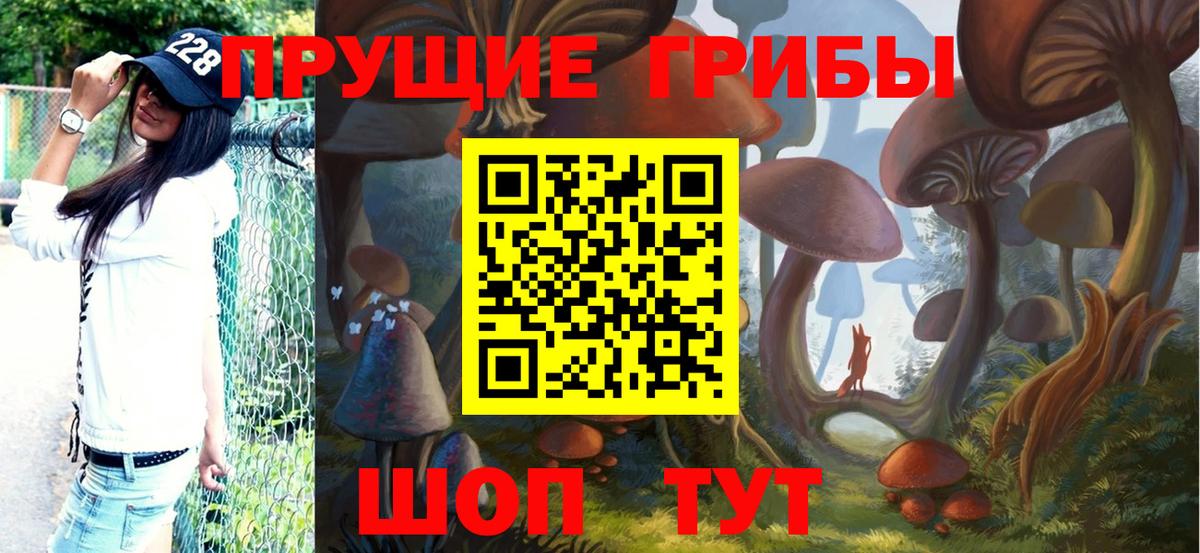 Галлюциногенные грибы прущие грибы  Вход с VPN  Галлюциногенные грибы Psilocybe  Балашиха 