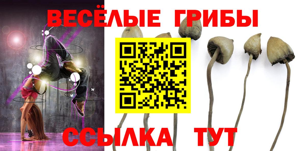 Галлюциногенные грибы Magic Shrooms Балашиха